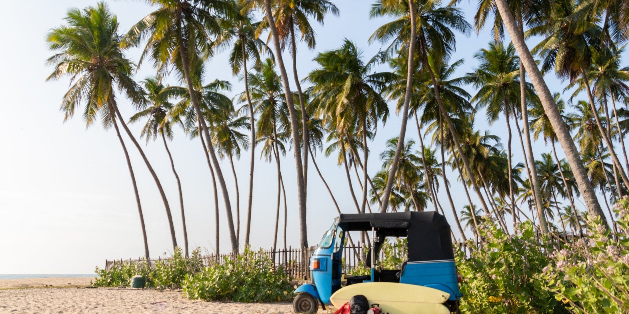 Sri Lanka: Where Your Dream Surf Trip Awaits