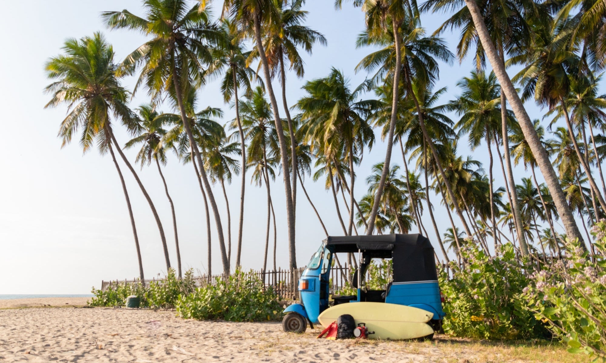 Sri Lanka: Where Your Dream Surf Trip Awaits