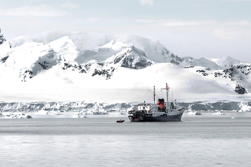 Top 10 travel tips for reaching Antarctica