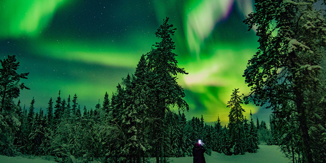 7 Wonders of The Natural World