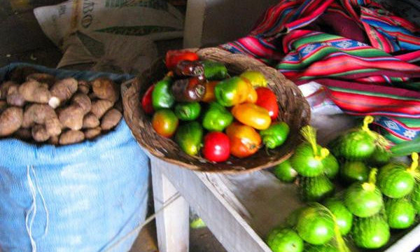 INTERNATIONAL EATING, EAT IT ALL WITHOUT GETTING SICK