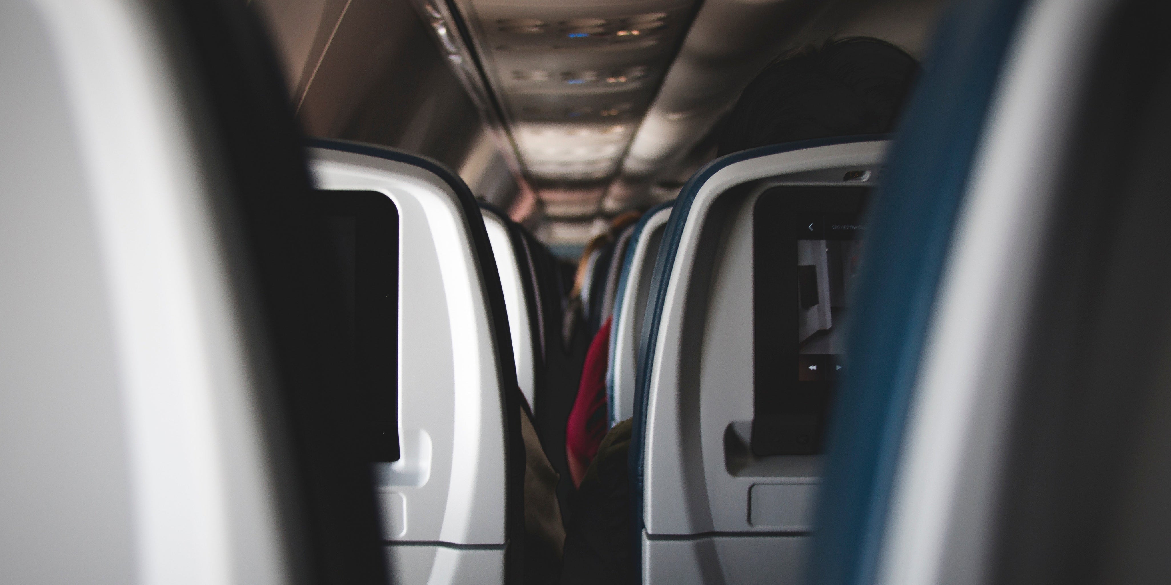 10 Tips for Taking Your Dog on a Flight (in cabin)