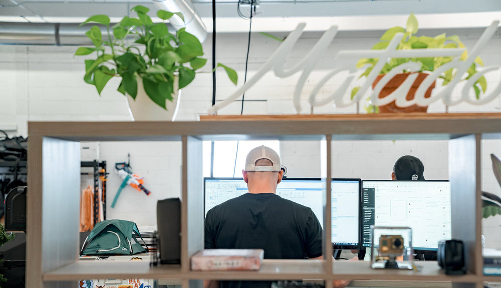 Photo taken through cubed bookshelf covered in plants as a man works at a computer