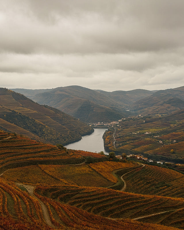 3. DOURO VALLEY, PORTUGAL