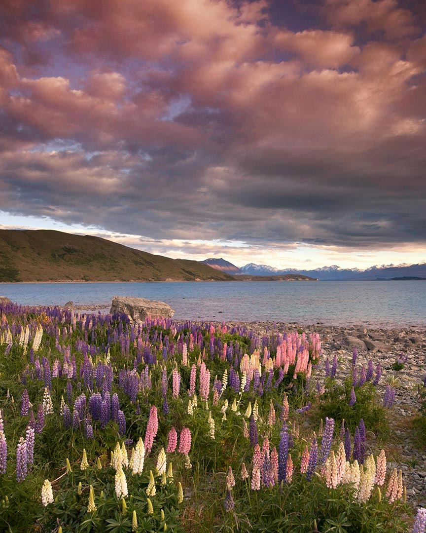 9. LAKE TEKAPO, NEW ZEALAND